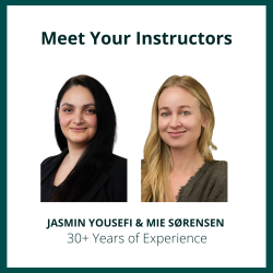 Pharmacovigilance for Beginners and Stakeholders 